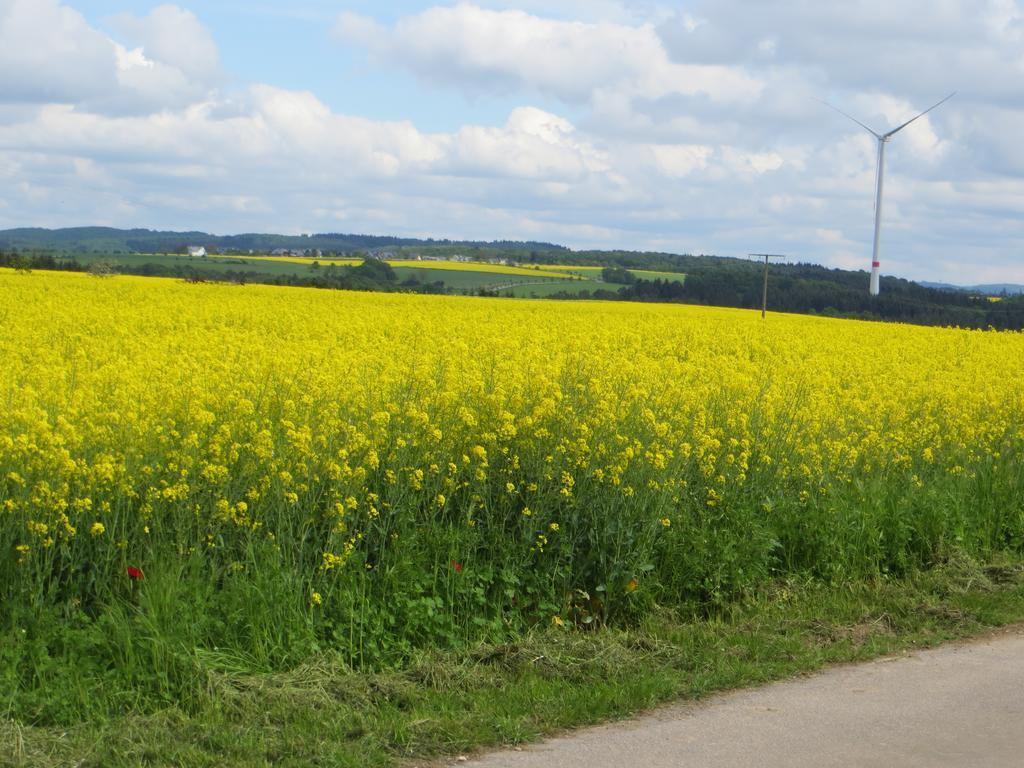 Ferienwohnung Wagner 4 Sterne Neef Bagian luar foto